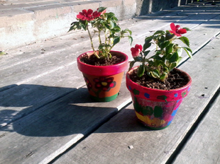 2 painted pots on the deck